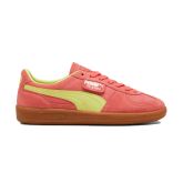 Puma Palermo Salmon - Orange - Sneakers Puma Palermo Salmon - Orange - Sneakers