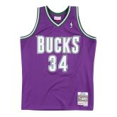 Mitchell & Ness NBA Milwaukee Bucks Ray Allen Swingman Jersey - Purple - Jersey