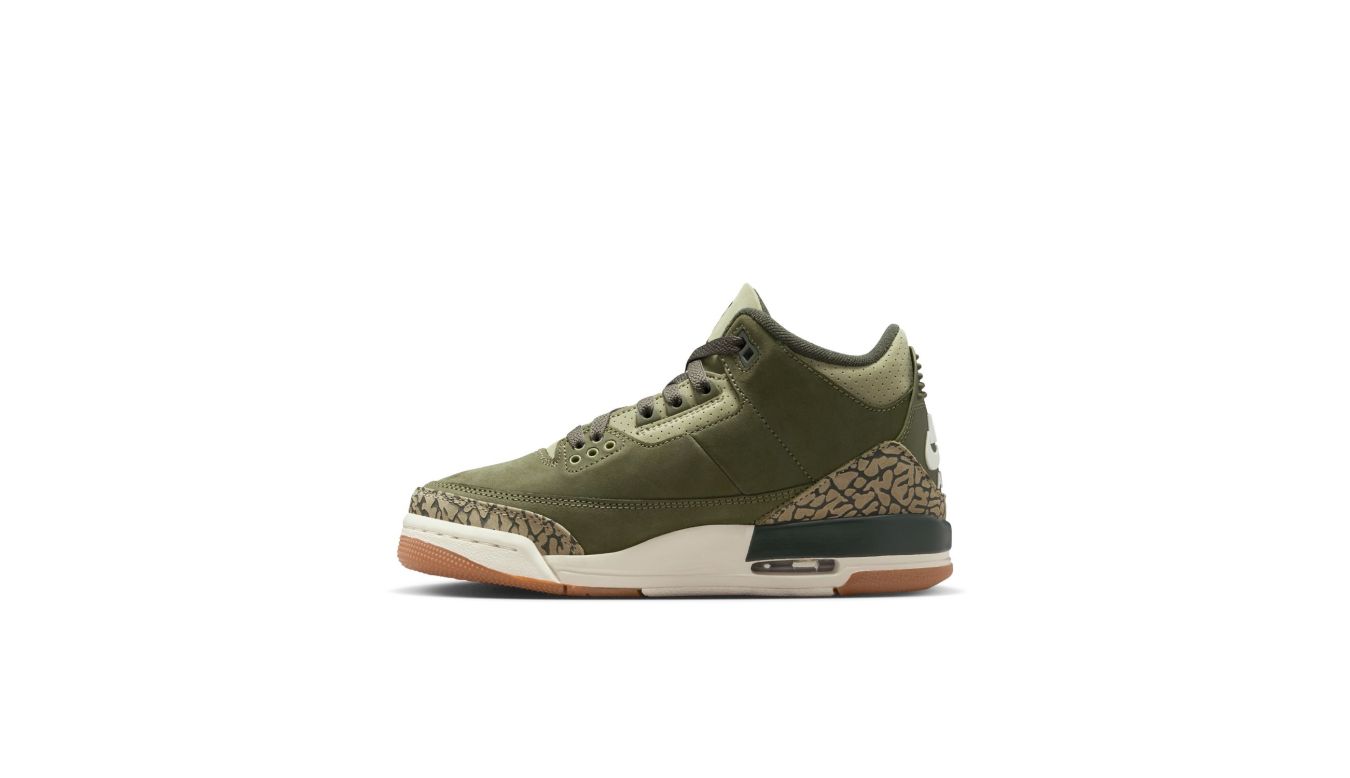 Air Jordan 3 Retro 