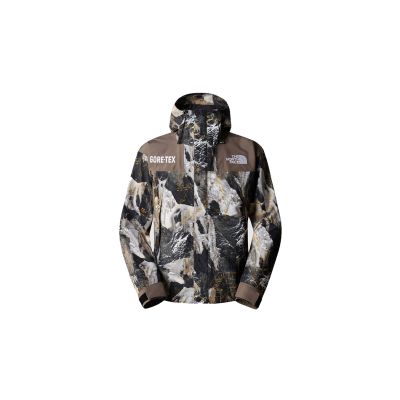 The North Face M Gore-Tex Mountain Jacket - Multi-color - Jacket