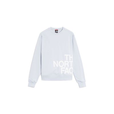 The North Face Blown Up Logo W Sweatshirt - Grey - Hoodie