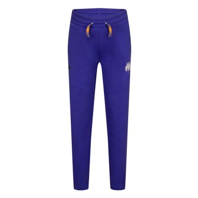 Jordan Boys MJ MVP HBR Fleece Pants Dark Concord - Purple - Pants
